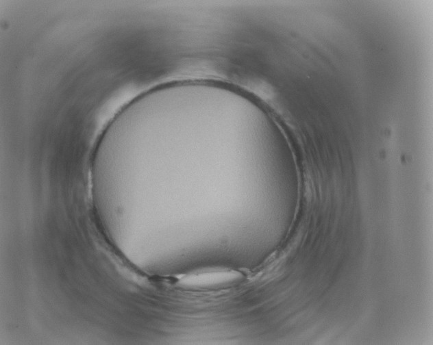 X0000070401366200606302001