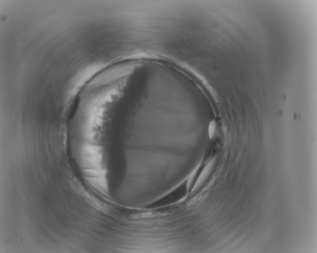 X0000070401367200606302001