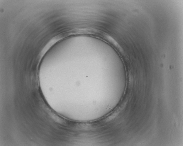 X0000070401370200606302000