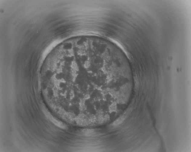 X0000070401371200606302000