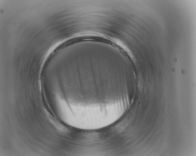 X0000070401372200606302000