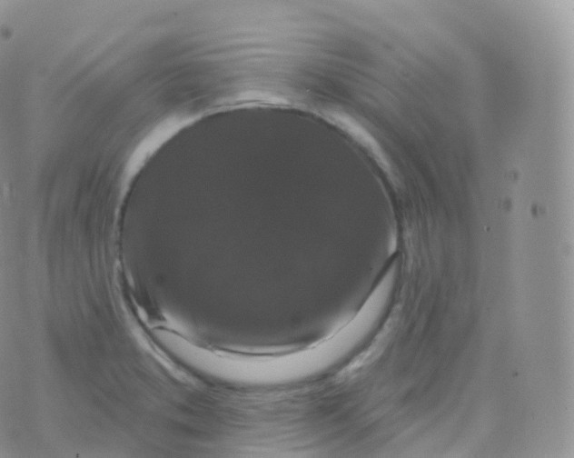 X0000070401373200606302000