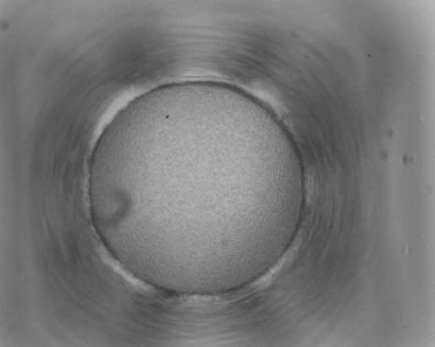 X0000070401374200606302000