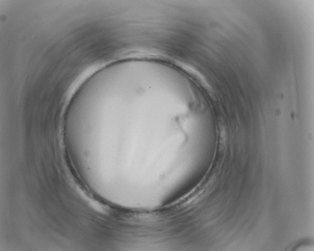 X0000070401375200606302000