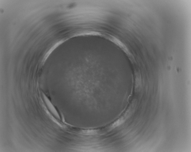 X0000070401377200606302000