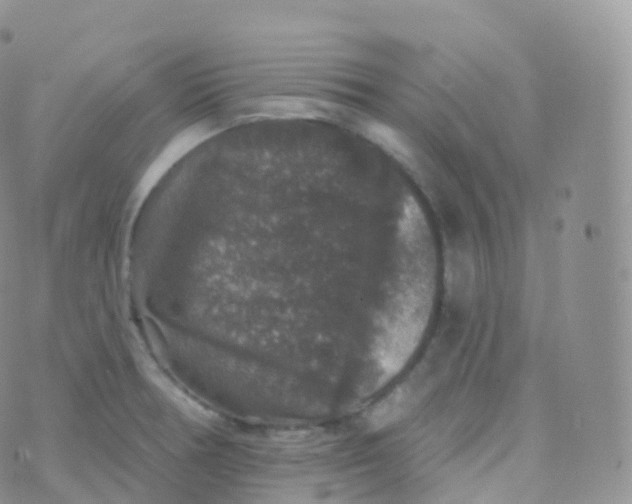 X0000070401378200606302000