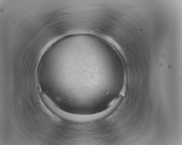 X0000070401380200606302000