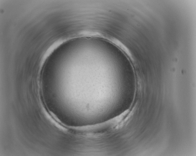 X0000070401381200606302000