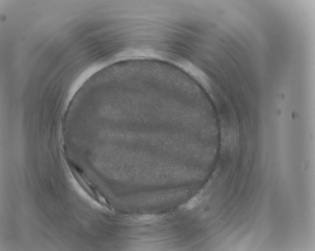 X0000070401382200606302000