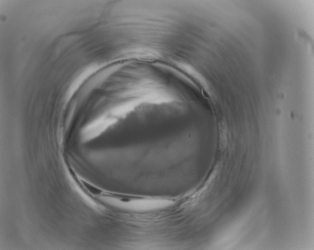 X0000070401383200606302000