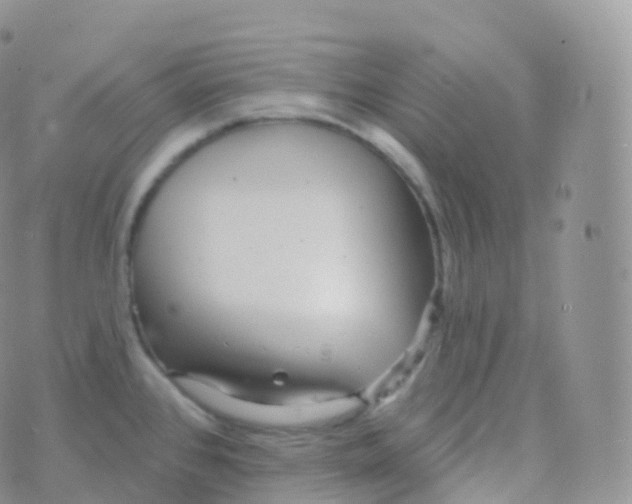 X0000070401384200606302000