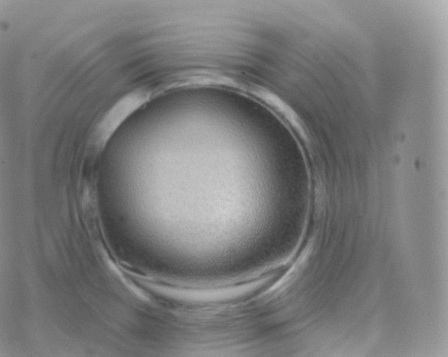 X0000070401385200606302000