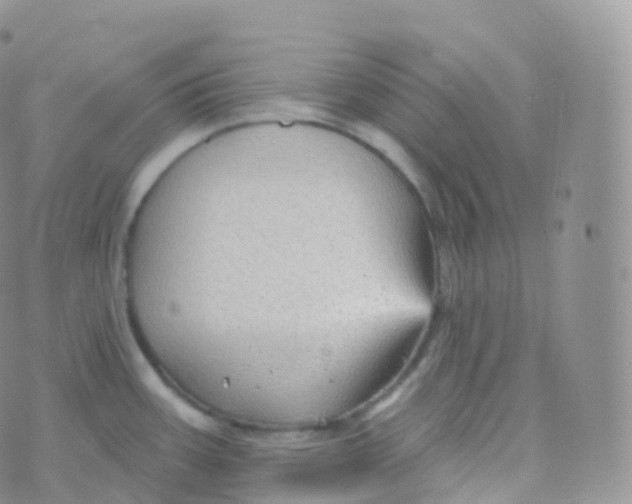 X0000070401387200606302000