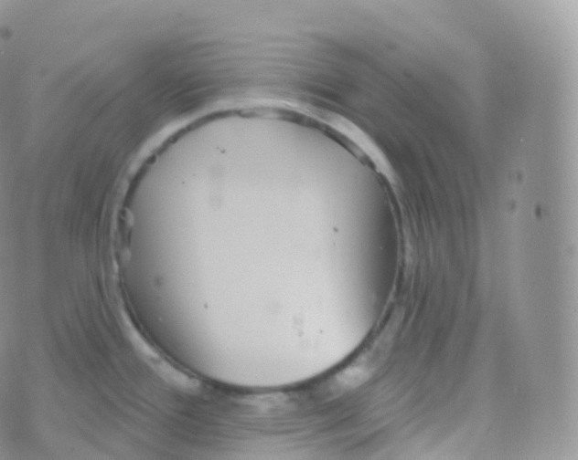 X0000070401388200606302000