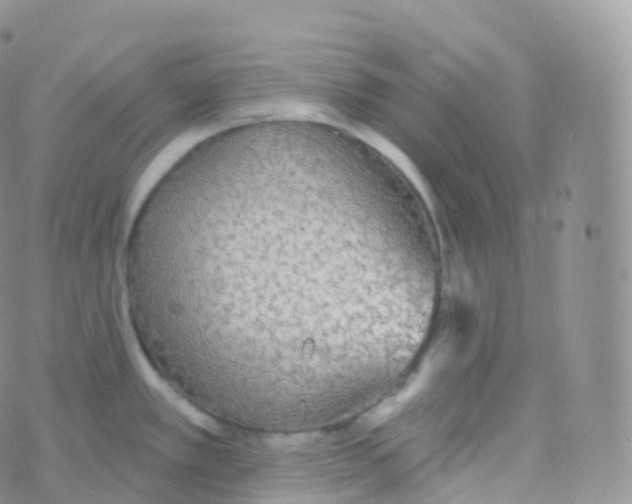 X0000070401389200606302000