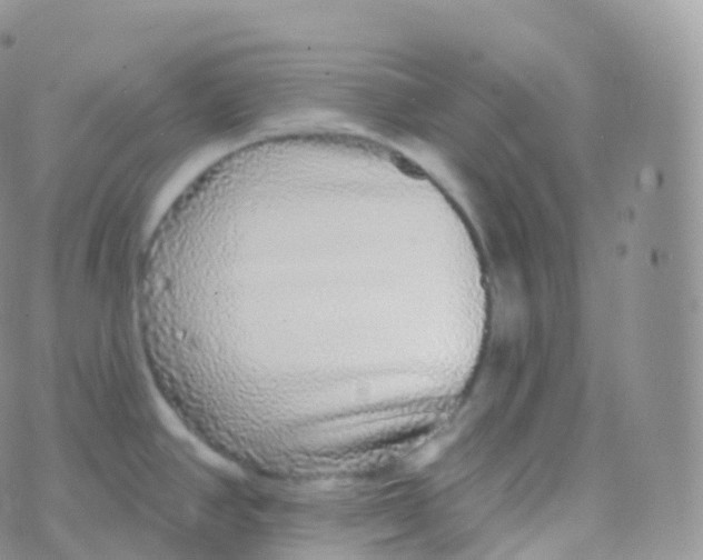 X0000070401390200606302000