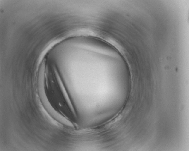 X0000070401392200606302000