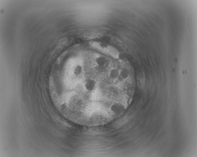 X0000070401393200606301959