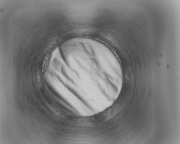 X0000070401396200606301959