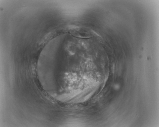 X0000070401397200606301959