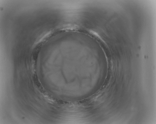 X0000070401399200606301959