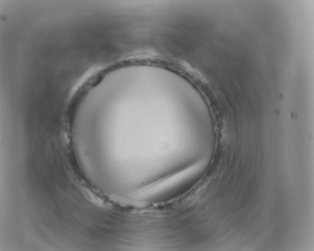 X0000070401400200606301959