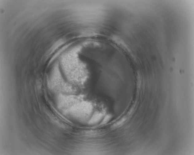 X0000070401401200606301959