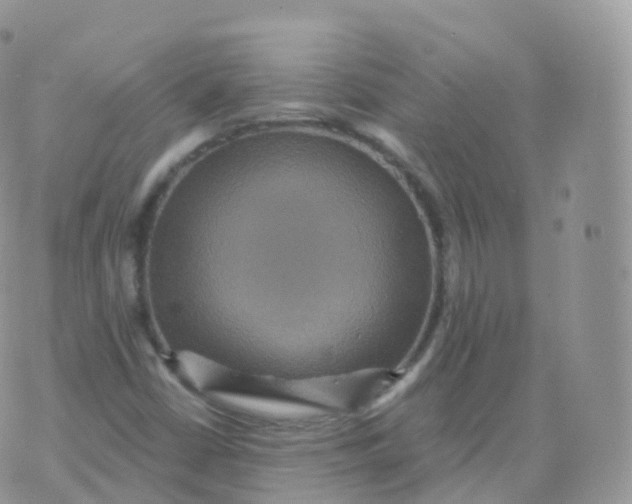 X0000070401402200606301959