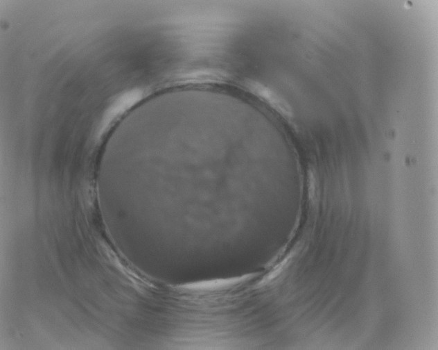 X0000070401405200606302000