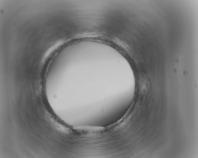 X0000070401406200606302000