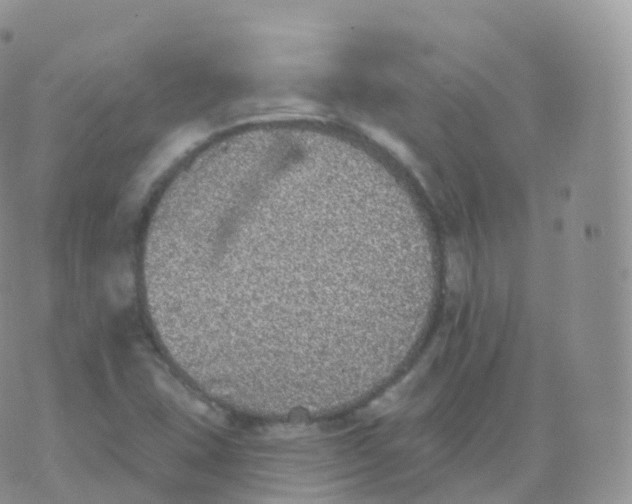 X0000070401407200606302000