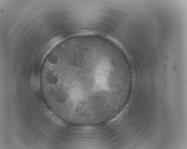 X0000070401409200606302000