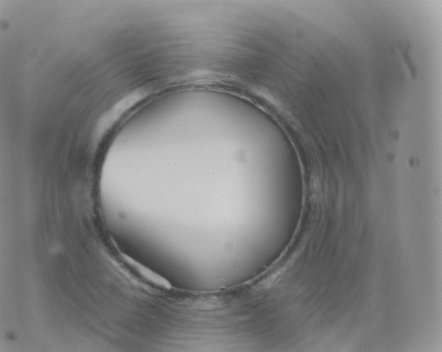 X0000070401410200606302000