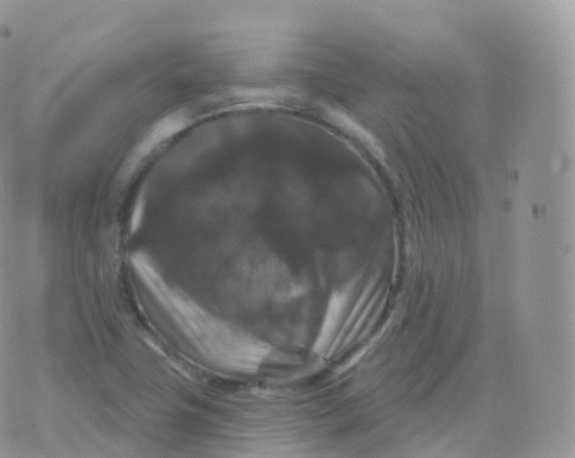 X0000070401411200606302000