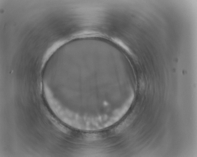 X0000070401413200606302000