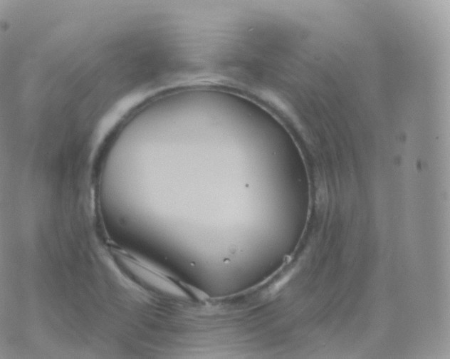 X0000070401414200606302000