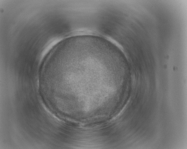 X0000070401415200606302000