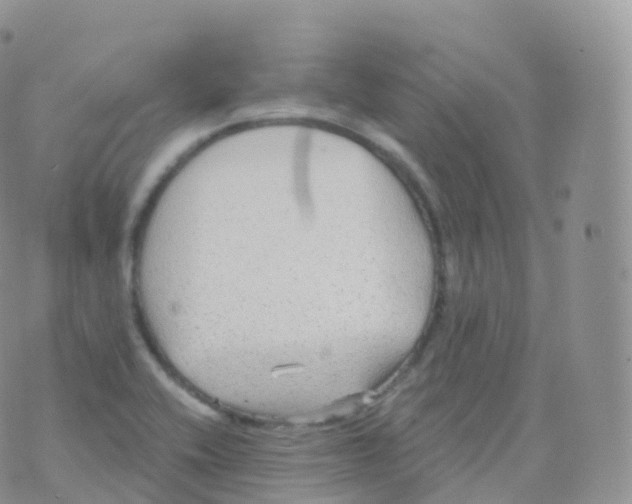 X0000070401416200606302000