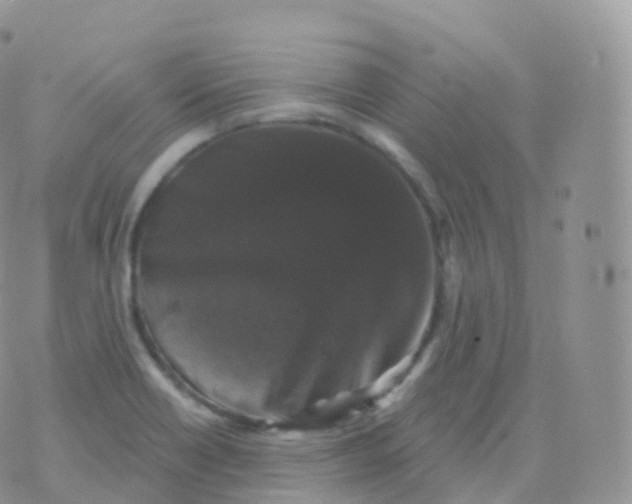 X0000070401418200606302000