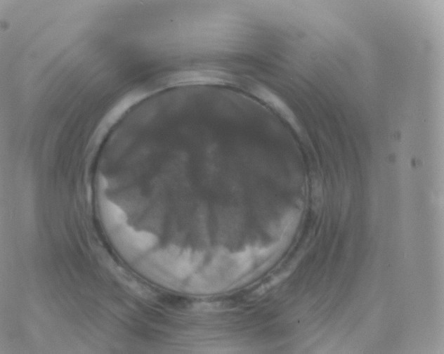 X0000070401419200606302000