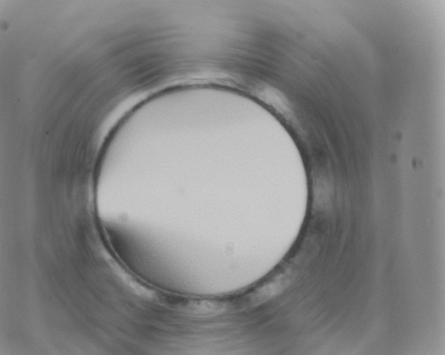 X0000070401420200606302000