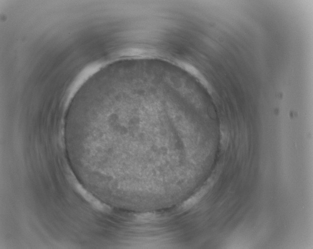 X0000070401421200606302000