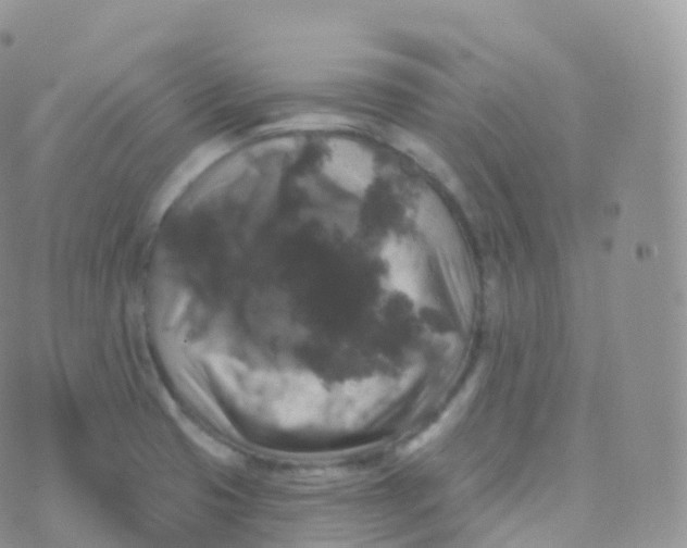 X0000070401425200606302000