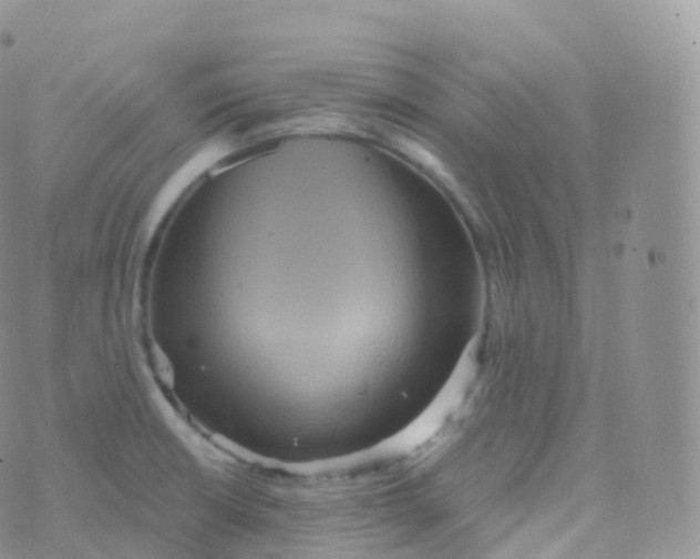 X0000070401426200606302000