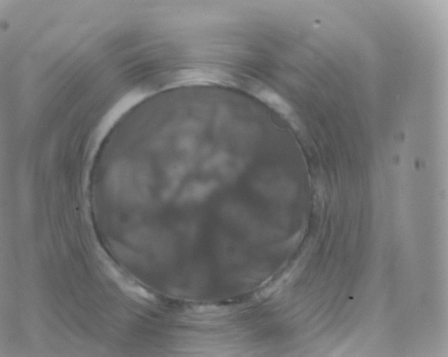 X0000070401427200606302000