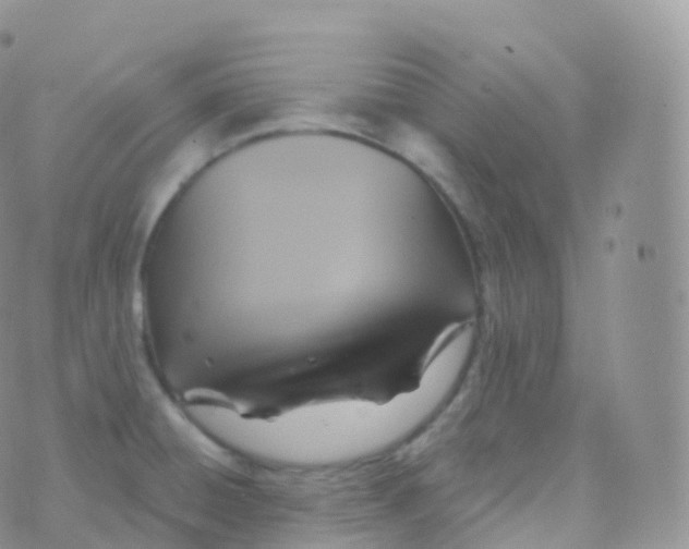 X0000070401428200606302000