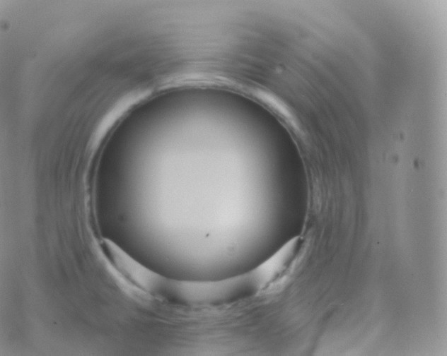 X0000070401430200606302000