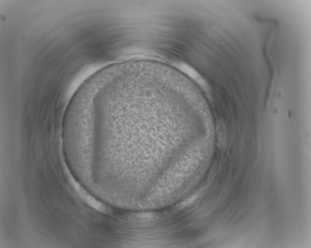 X0000070401431200606302000