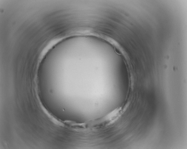 X0000070401432200606302000