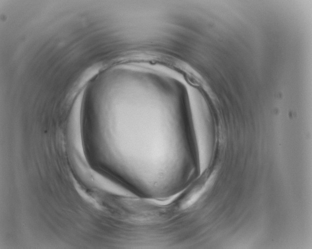 X0000070401433200606302000